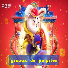 grupos de palpites de futebol whatsapp